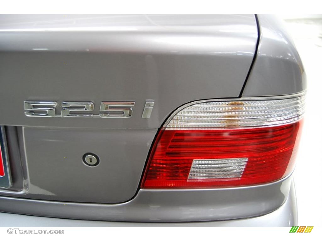2001 5 Series 525i Sedan - Sahara Beige Metallic / Black photo #8