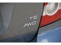 Titanium Gray Metallic - S40 T5 AWD Photo No. 6