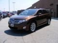 2009 Sunset Bronze Mica Toyota Venza I4  photo #7