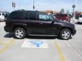 2008 Black Chevrolet TrailBlazer LT 4x4  photo #11