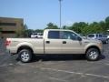 2010 Pueblo Gold Metallic Ford F150 XLT SuperCrew 4x4  photo #2