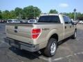2010 Pueblo Gold Metallic Ford F150 XLT SuperCrew 4x4  photo #3