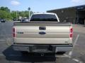 2010 Pueblo Gold Metallic Ford F150 XLT SuperCrew 4x4  photo #4