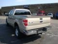 2010 Pueblo Gold Metallic Ford F150 XLT SuperCrew 4x4  photo #5