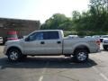 2010 Pueblo Gold Metallic Ford F150 XLT SuperCrew 4x4  photo #6