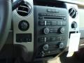2010 Pueblo Gold Metallic Ford F150 XLT SuperCrew 4x4  photo #9