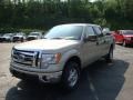 2010 Pueblo Gold Metallic Ford F150 XLT SuperCrew 4x4  photo #10