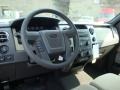 2010 Pueblo Gold Metallic Ford F150 XLT SuperCrew 4x4  photo #14