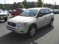 Savannah Metallic - RAV4 I4 Photo No. 1