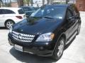 Black - ML 350 4Matic Photo No. 9