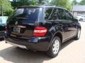 Obsidian Black Metallic - ML 350 4Matic Photo No. 4