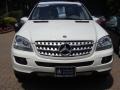Arctic White - ML 350 4Matic Photo No. 2