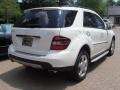 Arctic White - ML 350 4Matic Photo No. 4