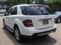 Arctic White - ML 350 4Matic Photo No. 6