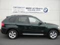 Deep Green Metallic - X5 xDrive30i Photo No. 27