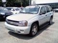 Moondust Metallic - TrailBlazer LS 4x4 Photo No. 1