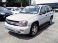 2007 Moondust Metallic Chevrolet TrailBlazer LS 4x4  photo #1