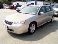 2006 Silverstone Metallic Chevrolet Malibu Maxx LT Wagon  photo #1