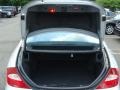 Iridium Silver Metallic - CLS 550 Photo No. 14