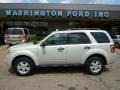 2009 White Suede Ford Escape XLT V6 4WD  photo #1