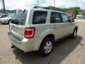 2009 White Suede Ford Escape XLT V6 4WD  photo #4