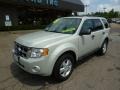 2009 White Suede Ford Escape XLT V6 4WD  photo #8