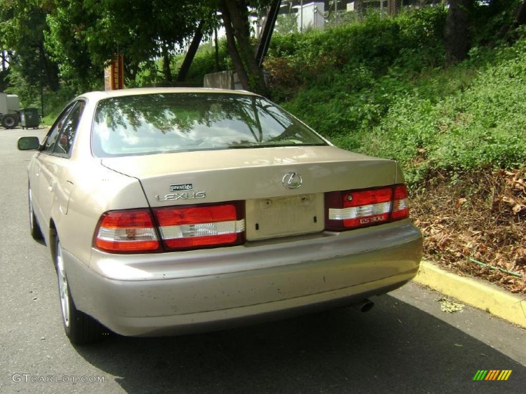 2001 ES 300 - Cashmere Beige Metallic / Ivory photo #5