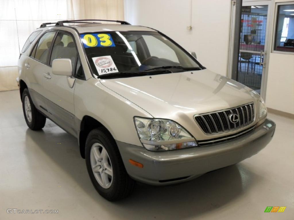 2003 RX 300 - Millenium Silver Metallic / Black photo #5