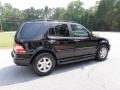 2002 Black Mercedes-Benz ML 500 4Matic  photo #7