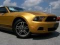 2010 Sunset Gold Metallic Ford Mustang V6 Premium Convertible  photo #2