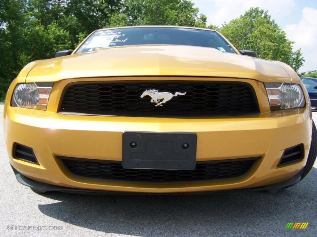 2010 Mustang V6 Premium Convertible - Sunset Gold Metallic / Charcoal Black photo #3