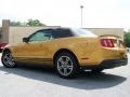 2010 Sunset Gold Metallic Ford Mustang V6 Premium Convertible  photo #4