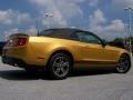 2010 Sunset Gold Metallic Ford Mustang V6 Premium Convertible  photo #7