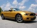 2010 Sunset Gold Metallic Ford Mustang V6 Premium Convertible  photo #10