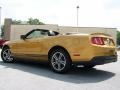 2010 Sunset Gold Metallic Ford Mustang V6 Premium Convertible  photo #11