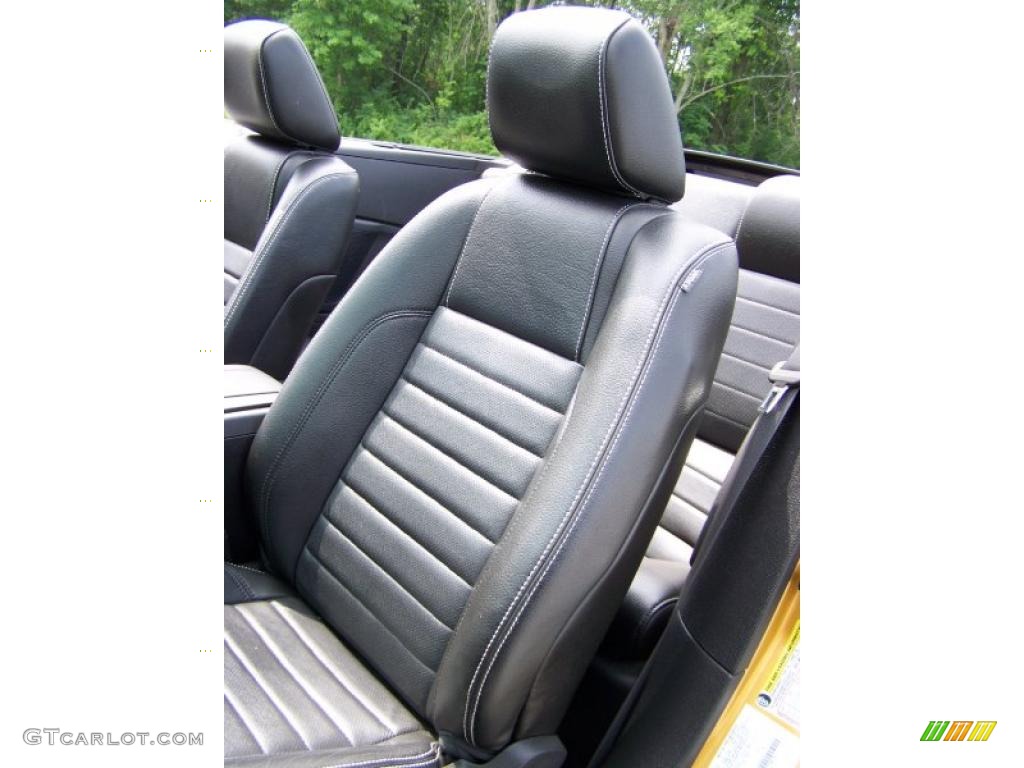 2010 Mustang V6 Premium Convertible - Sunset Gold Metallic / Charcoal Black photo #13