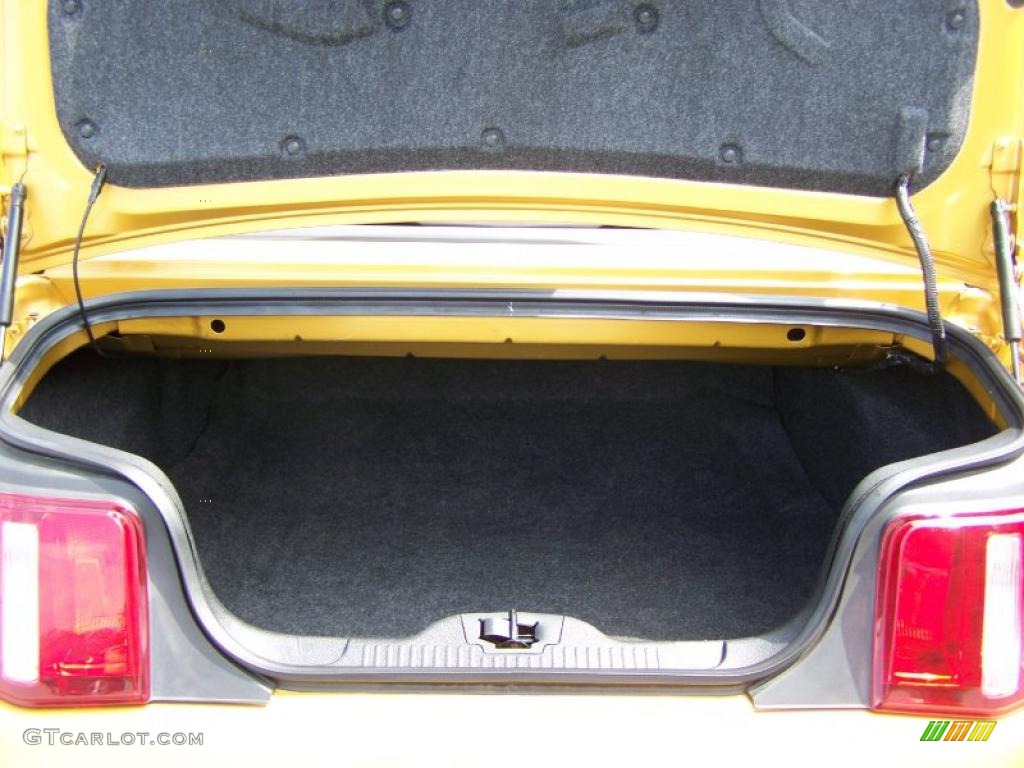 2010 Mustang V6 Premium Convertible - Sunset Gold Metallic / Charcoal Black photo #16
