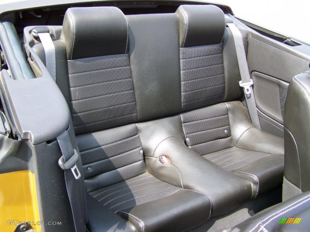 2010 Mustang V6 Premium Convertible - Sunset Gold Metallic / Charcoal Black photo #18