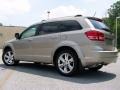 2009 Light Sandstone Metallic Dodge Journey R/T  photo #4