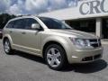 2010 White Gold Dodge Journey R/T  photo #2