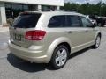 2010 White Gold Dodge Journey R/T  photo #8