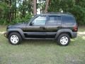 Black Clearcoat - Liberty Sport Photo No. 1