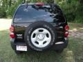 Black Clearcoat - Liberty Sport Photo No. 3
