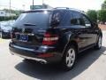 Obsidian Black Metallic - ML 320 BlueTec 4Matic Photo No. 4