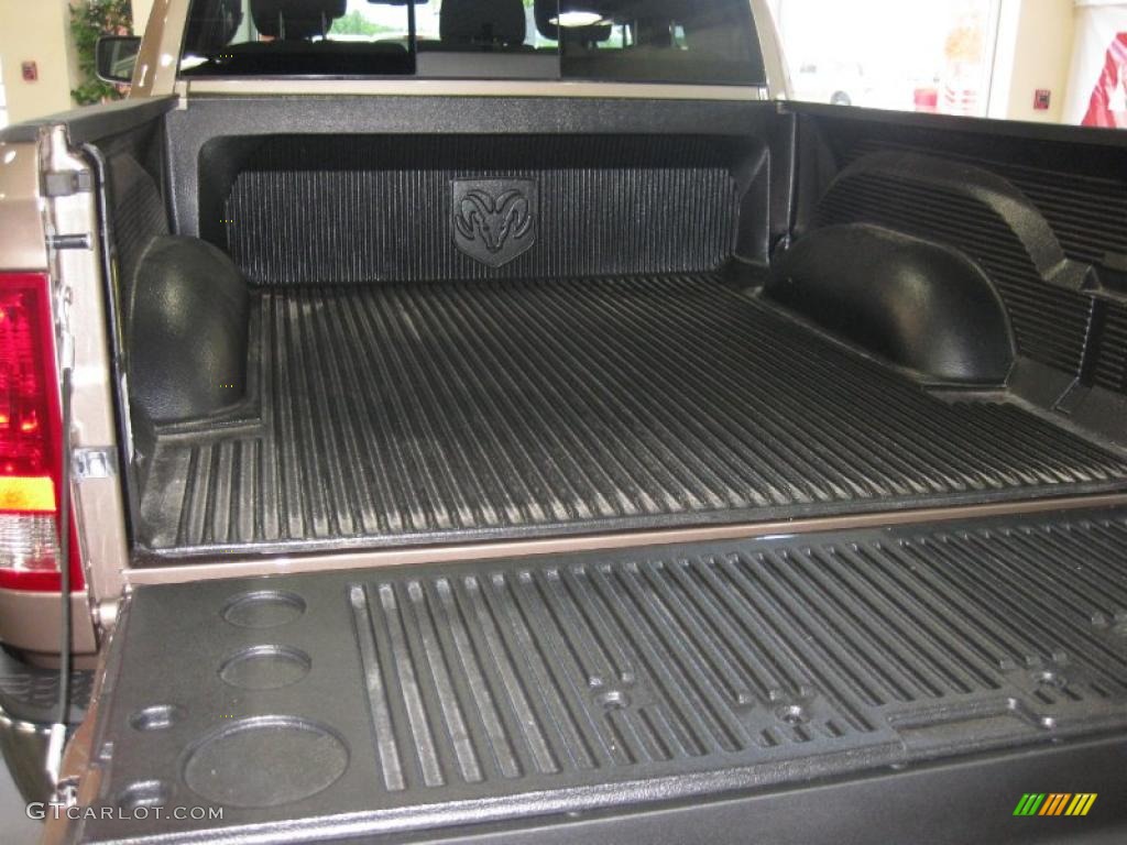 2010 Ram 1500 Big Horn Crew Cab - Austin Tan Pearl / Light Pebble Beige/Bark Brown photo #15