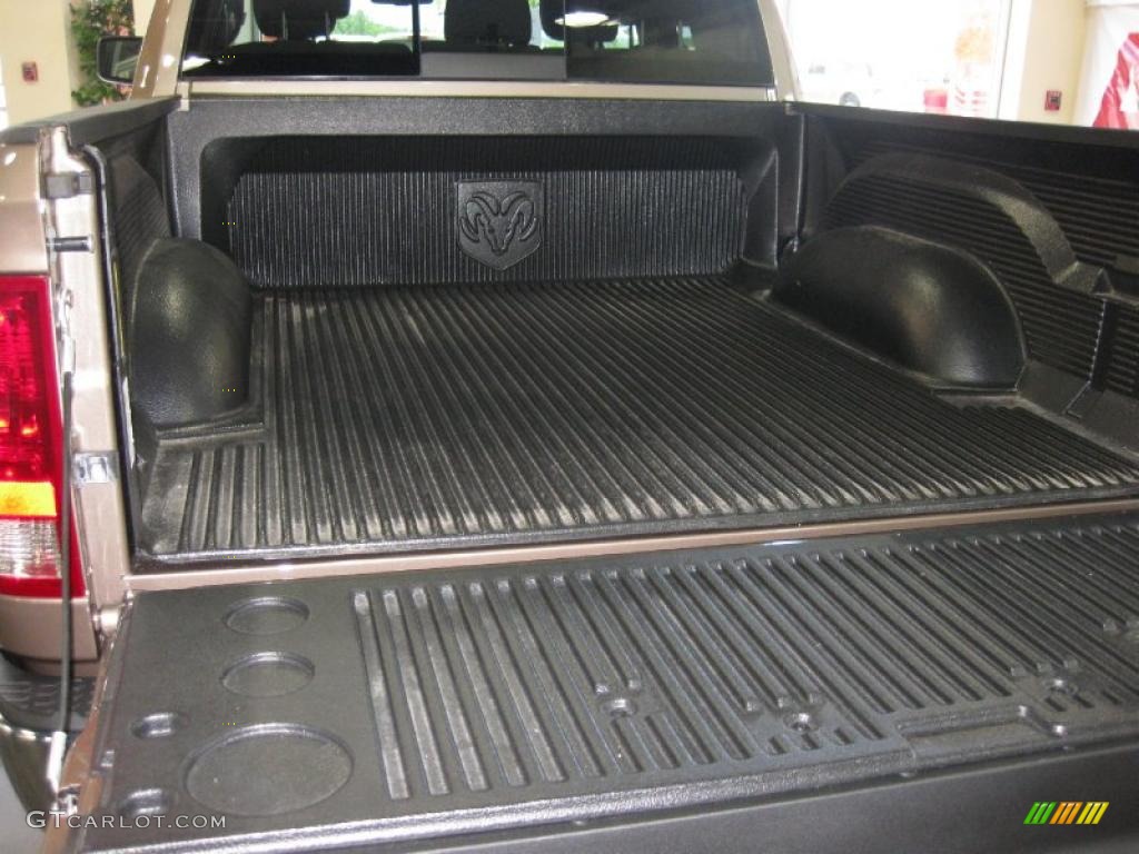 2010 Ram 1500 Big Horn Crew Cab - Austin Tan Pearl / Light Pebble Beige/Bark Brown photo #15