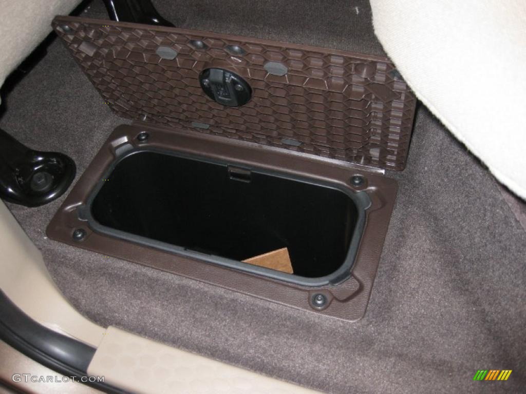 2010 Ram 1500 Big Horn Crew Cab - Austin Tan Pearl / Light Pebble Beige/Bark Brown photo #23