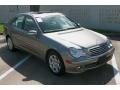 Pewter Metallic - C 280 Luxury Photo No. 18