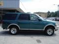 Pacific Green Metallic - Expedition Eddie Bauer 4x4 Photo No. 9