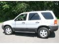 Satin Silver Metallic - Escape XLT V6 4WD Photo No. 9